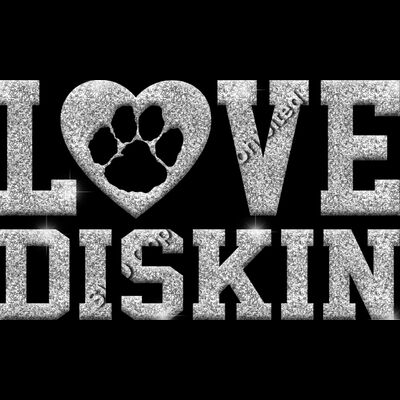 GLT51 SILVER GLITTER Thumbnail